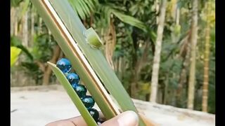 Home made bamboo Craft
