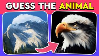Guess the Hidden Animal by ILLUSION