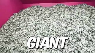 If You Can Carry $1,000,000 You Keep It!
