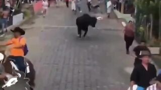 And she can't even run!!!