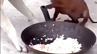Who says size matters