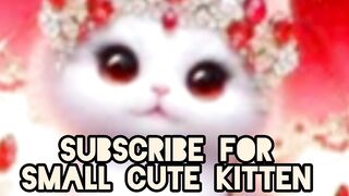 viral cat small cute cat