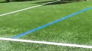 Rugby league turns fight club