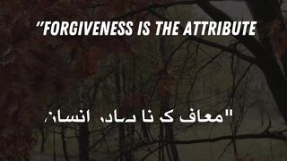Motivational quotes inspirational quotes