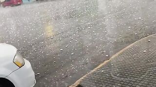البرد