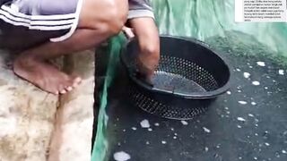 3 Tips cara beli bibit lele agar tidak dimanfaatkan oleh oknum penjual bibit lele CURANG