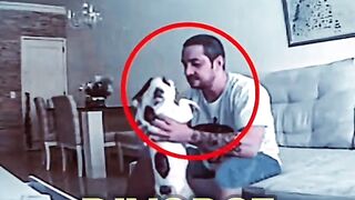 This women immediately filed for divorce after this hidden camera filmed what her husband was doing to this dog !