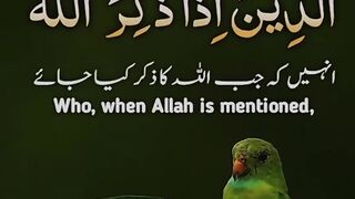 Tilawat Quran E Pak