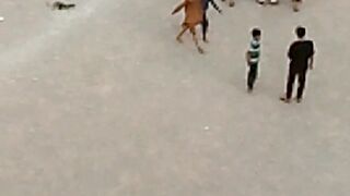 Murgon ki ladai ????