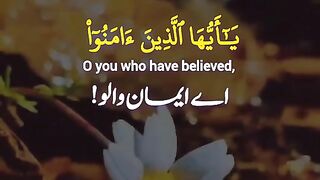 Best tilawat Quran pak
