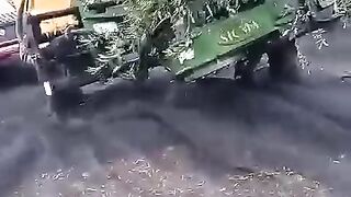 Lavoro di olive