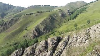 Amazing Scene of Wild Animals in 4k-Scenic Relation Film