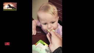 What do babies do when fed Lambo?