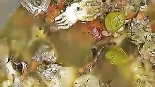 Cuisine
