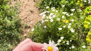 Nature rose