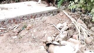 Stealing went wrong