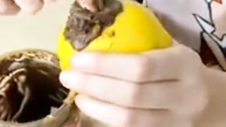 crazy pranks