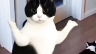 Dance Funny