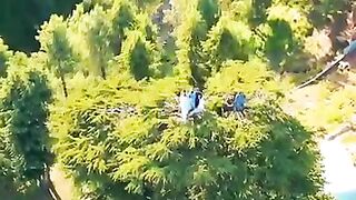Nice gojol with natural video
