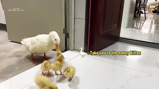 Fantastic Animals
