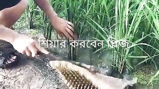 ????????funny video