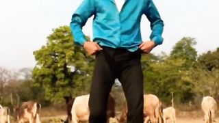 Do you like cows --❤️_shorts _dance
