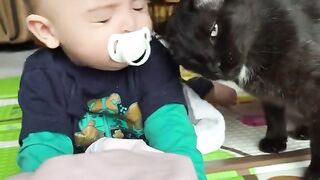 Cat interacting with human baby