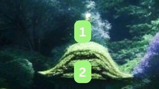 QuizWhizWizard