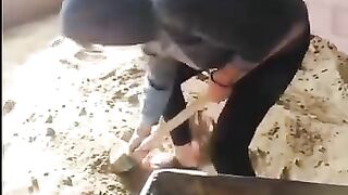 Funny videos
