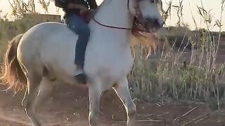 Cheval