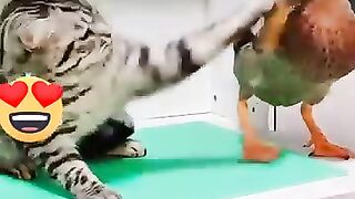 الحيوانات عالم آخر