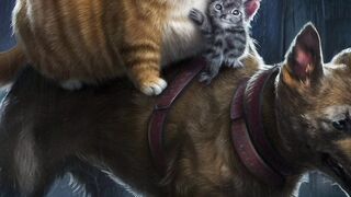 small cute cat