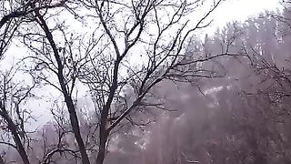 Blizzard and snow, the finale of my log cabins