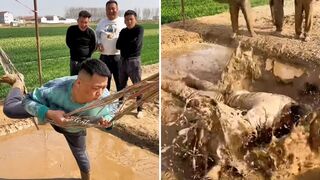 Balance Challenge - Tumble Bar Hammock Men's Simple Happiness 2024 New Farmer Plan Specializes