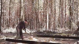 Building remote Cabin in the woods, Make a simple window, First harvest