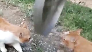 It doesn't work with humans!