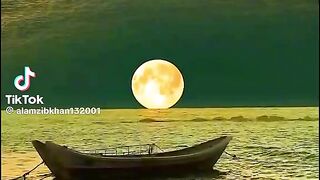 New Hindi song