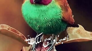مقتباسات