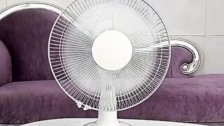 Electric Fan with Lamp