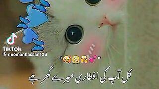 Funy video