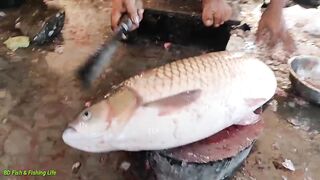 Fish cutting