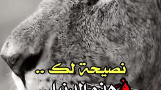 حاااله
