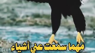 حالاتى