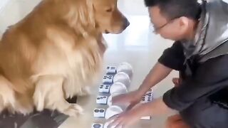 #funny