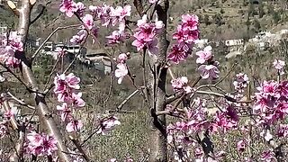 Nice weather in Pakistan