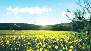 Nature of Beauty ????????????!!!