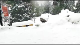 Natural Beauty of Galiyat Nathiagali Abbottabad Pakistan