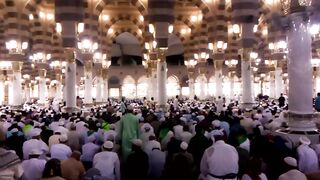 Masjid e Nabwi indoor scene, video, Madinah Video