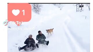 This vedeo have a honor
