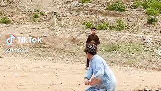 DCL CRICKET ????